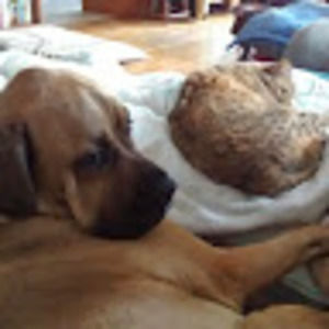 Meet your Posher, Ariel